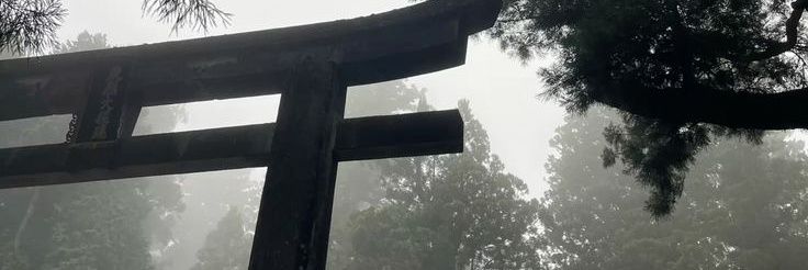 sophia ntj banner
