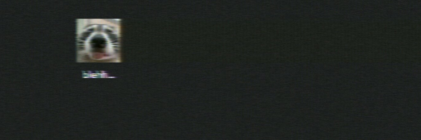 Feinnè Latte 🦝☕ banner