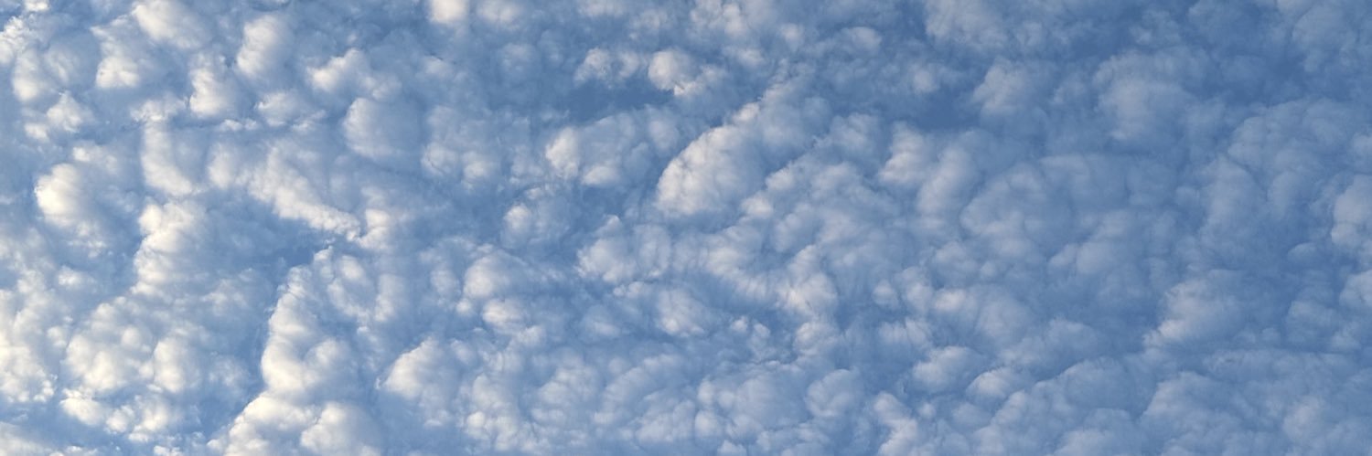 ไข่ตุ๋น เจ้าหมาบ๊อกแบ๊ก (aka Discoveryme) banner