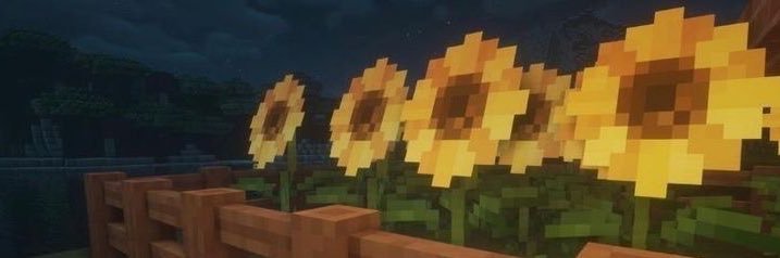Someone banner