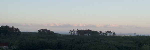 flowingdays__ Profile Banner