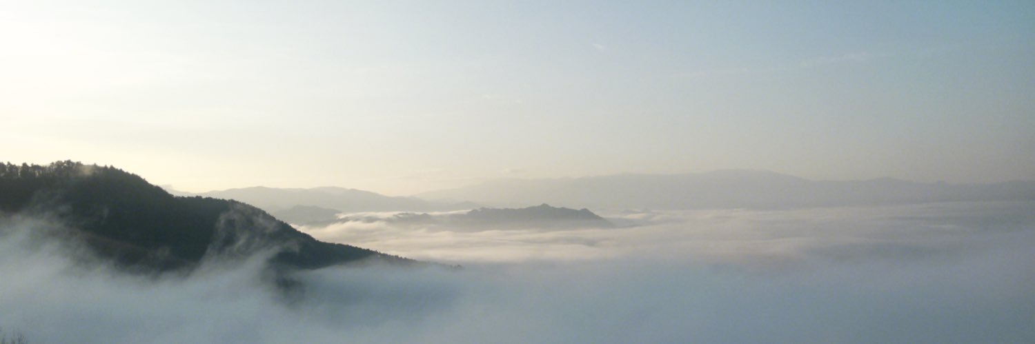 ⋆ ☄︎. ·˚ * ꙳ banner