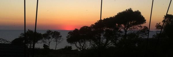 JustinHarrisMFF Profile Banner