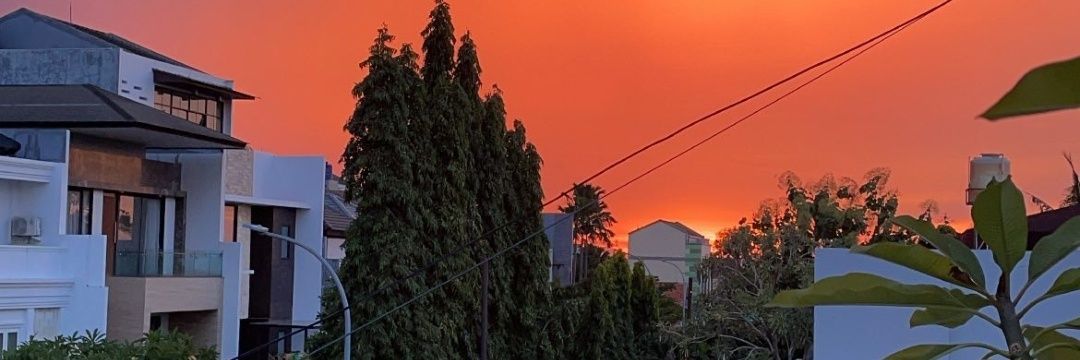 dknbrnk's profile banner image
