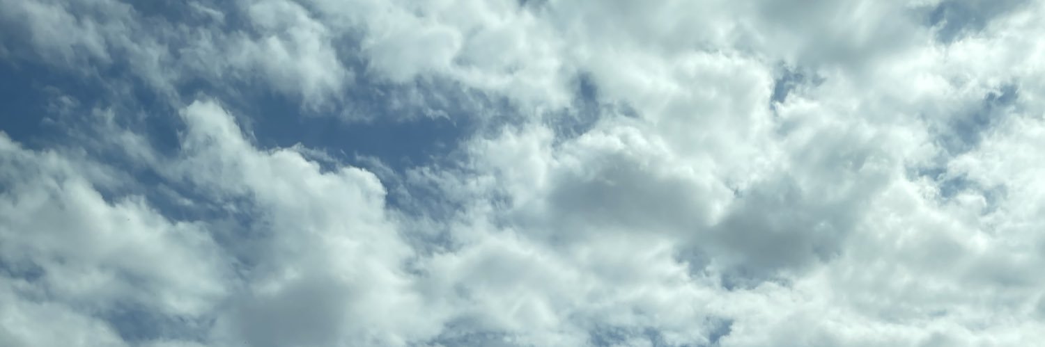 tryharderbunny's profile banner image
