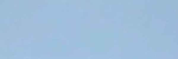 NyuRu_yshk Profile Banner