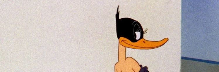 Nymphogravyo's profile banner image