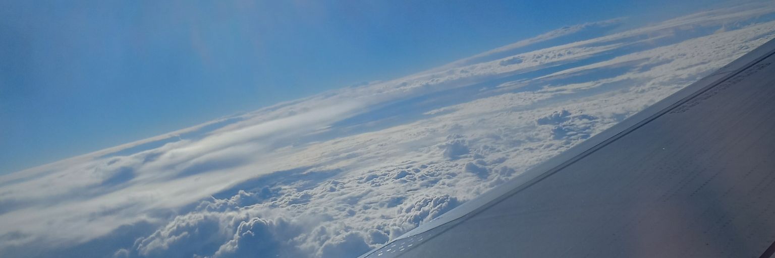 CheeReads's profile banner image