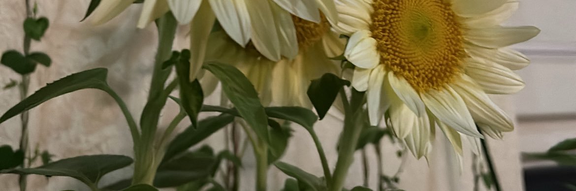 qq__0813's profile banner image