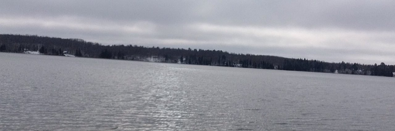 gnarley_vision's profile banner image