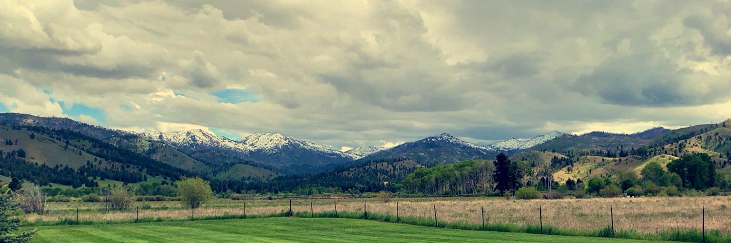 brittloucks's profile banner image