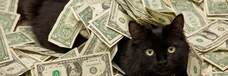 spoilednicolle's profile banner image