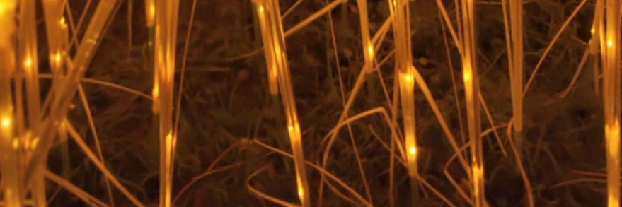 adolfzeta's profile banner image