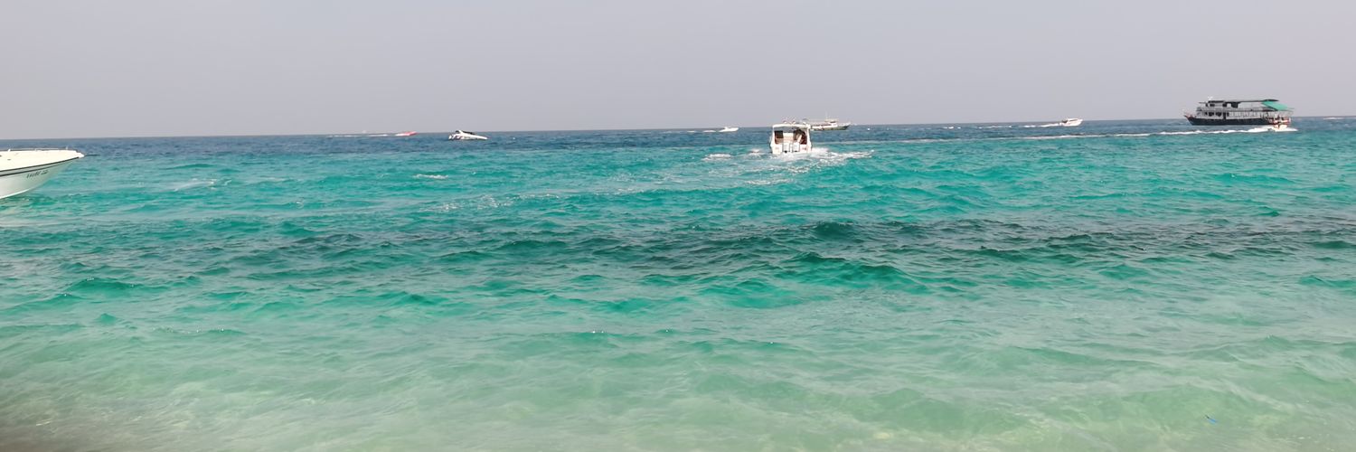 mzil441137's profile banner image