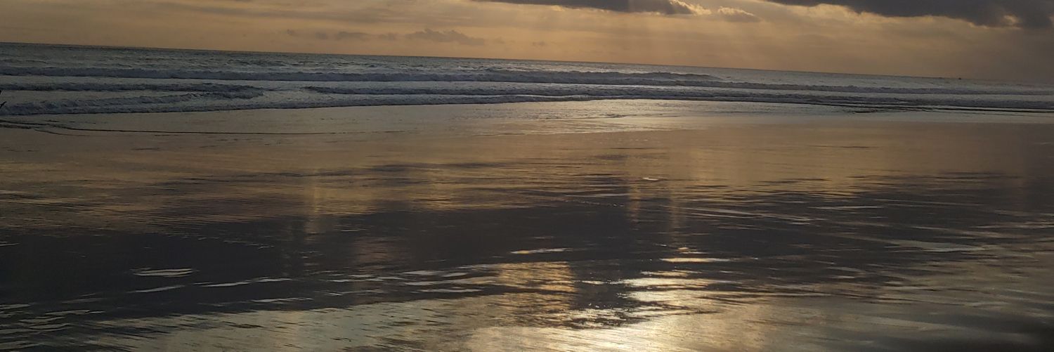 MichaelSha85364's profile banner image