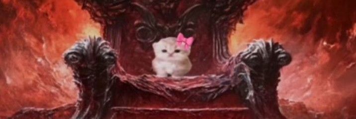 FettiLevelFun's profile banner image