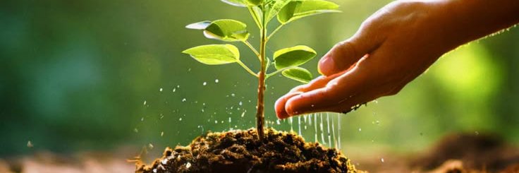 Brian Williams banner