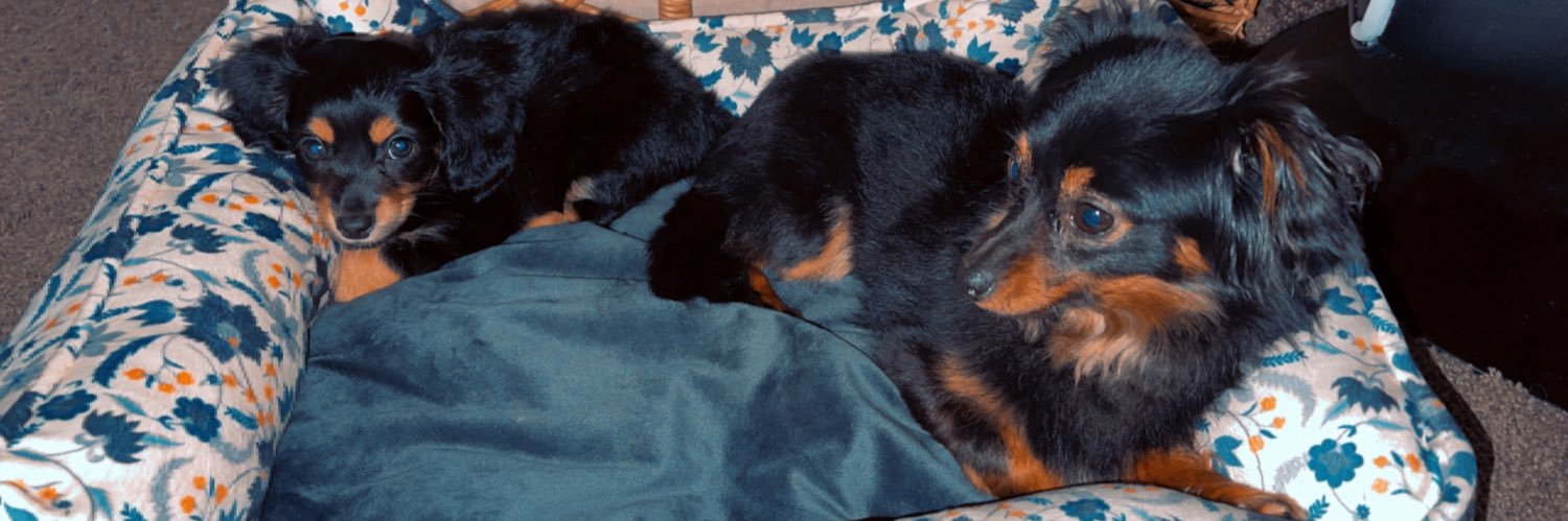 ChrissyBenjy's profile banner image