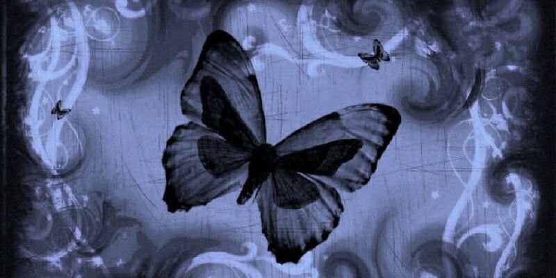 divine_ang3l's profile banner image