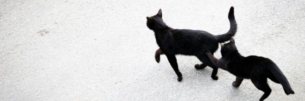 teentop_wal Profile Banner