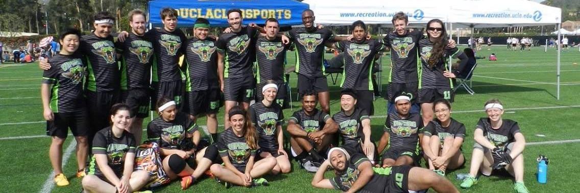 VipersQuidditch's profile banner image