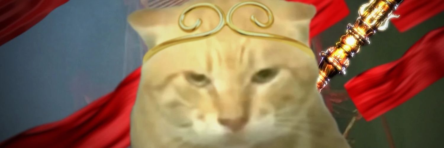 阿尼可爱ね banner