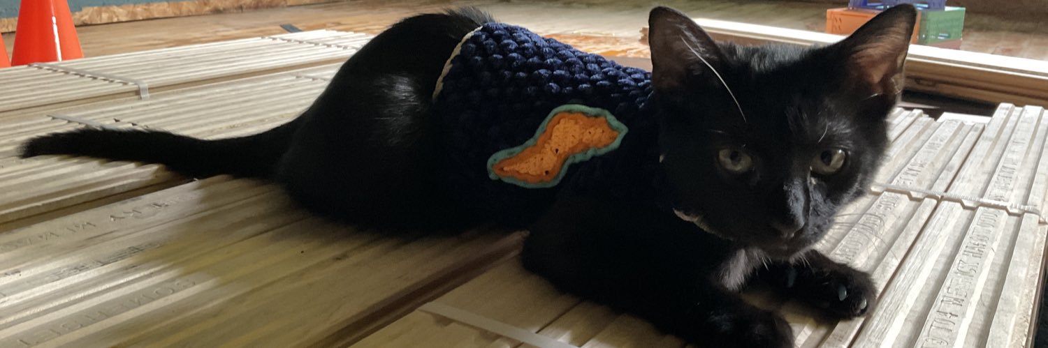 CatSith's banner