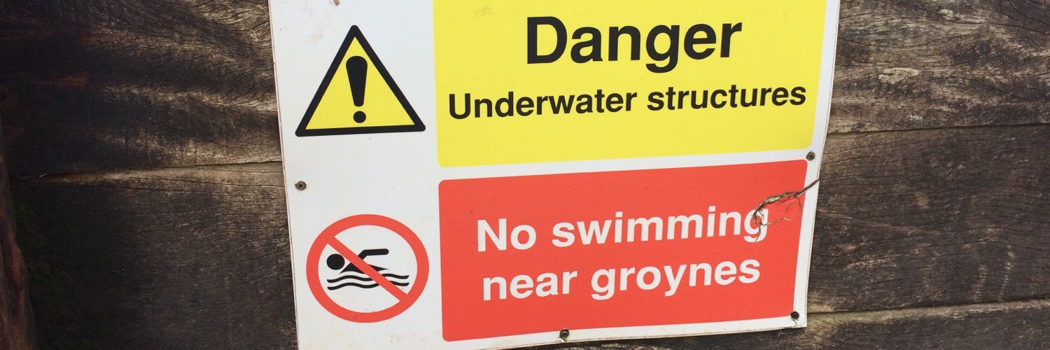 etheldreda of mercia banner