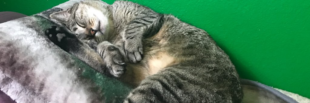 superduperdoug's profile banner image