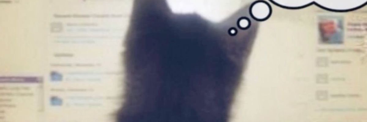 Stanllu's profile banner image