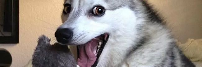 flexi123's profile banner image