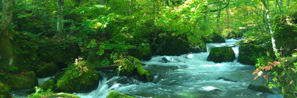 モス🍶🍺🥃 banner