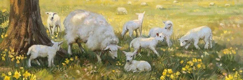 Katrina M. 🐑🌼(ติดงาน) banner