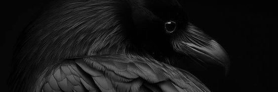 Hrafn banner