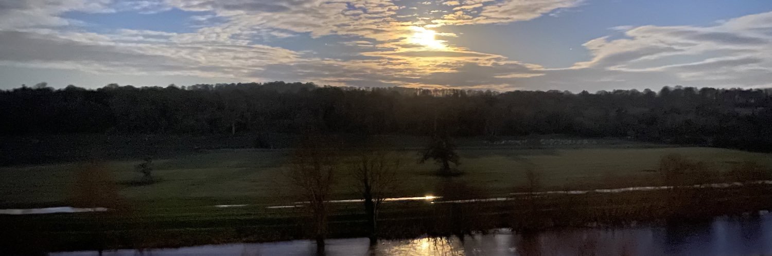 Pat FitzGerald banner