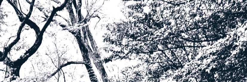 なまこ banner