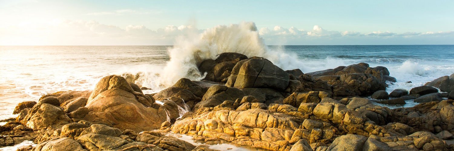 Carl Magnus Bruhner banner