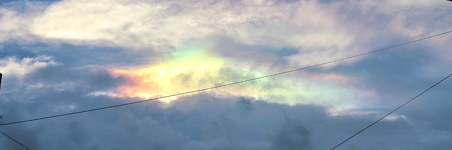 mintchu's profile banner image