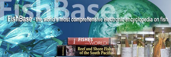 FishBaseProject Profile Banner