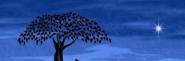 pradhr88's profile banner image