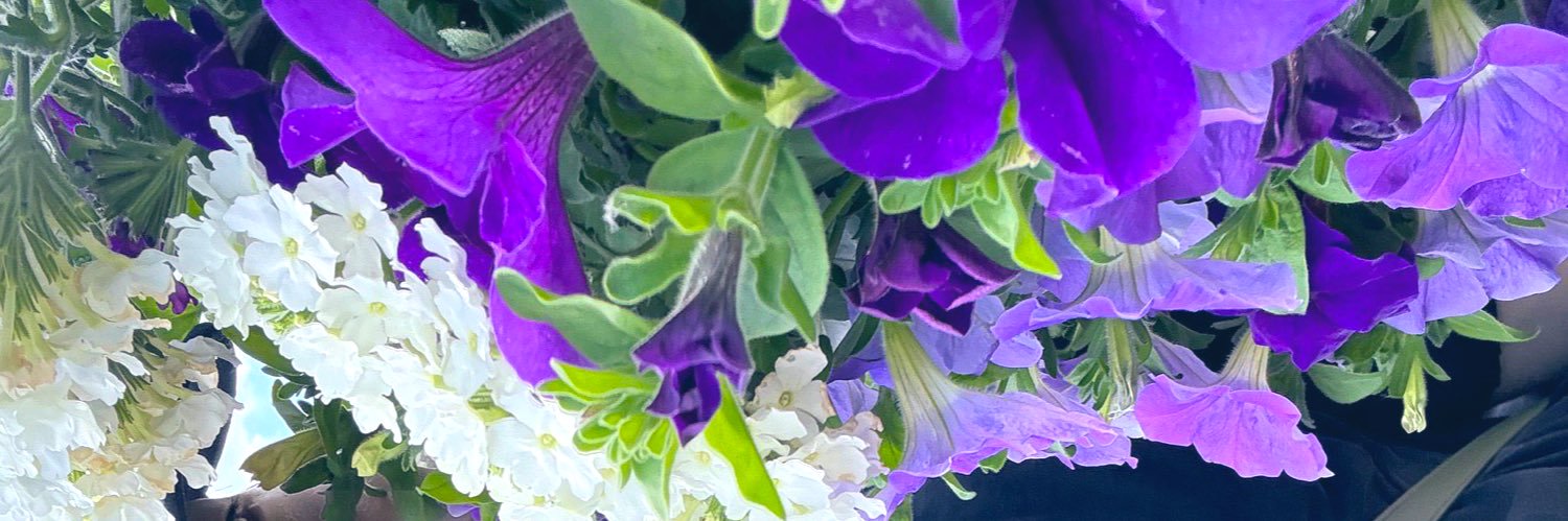 pp⭐︎･:**･*:.｡ banner