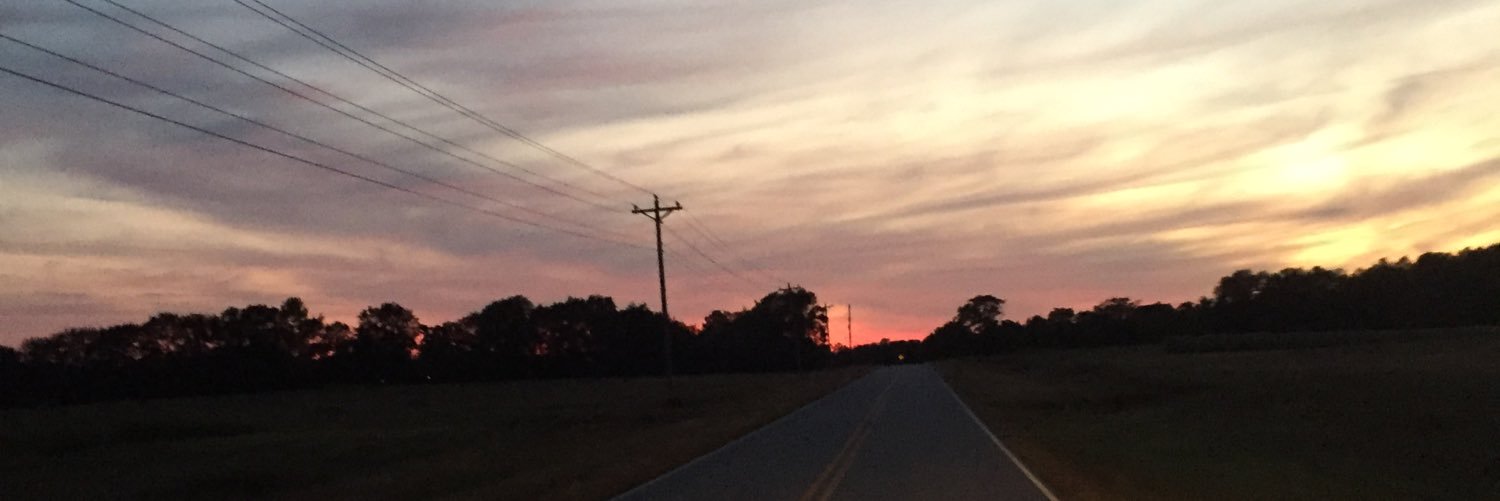 CarolLively's profile banner image