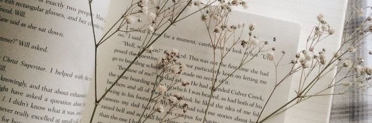 rosesandgraces's profile banner image