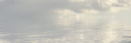 ougi 🫐's banner