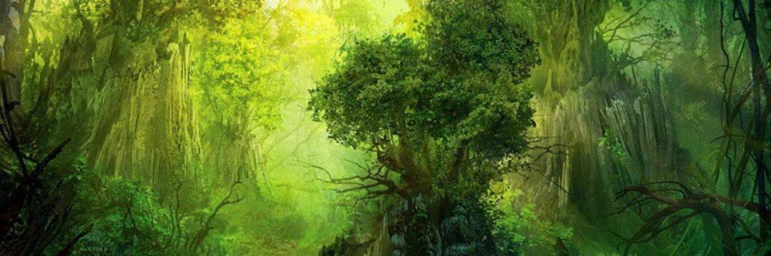 treequeen's profile banner image