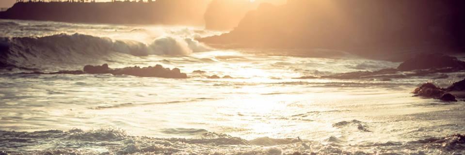 MayoClift's profile banner image
