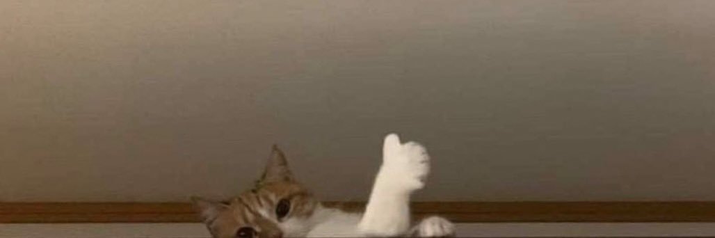 tinycaterpllar's profile banner image