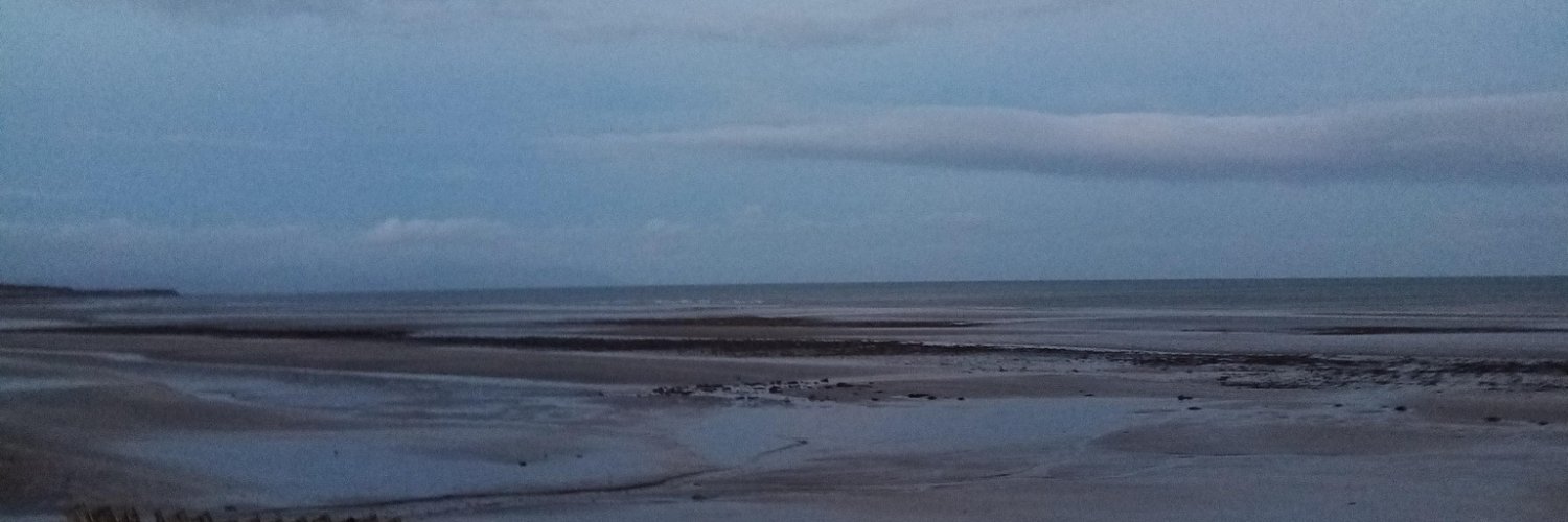 Louth Neutrality Network banner