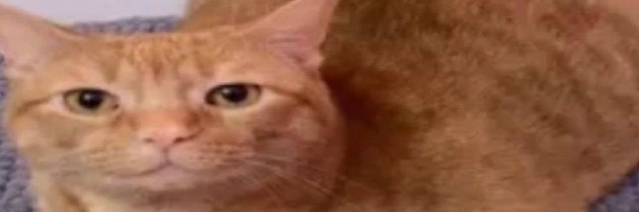 unknown_bug_'s profile banner image