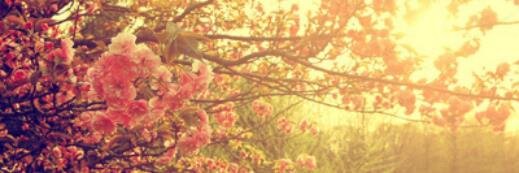 ivepriliana_'s profile banner image